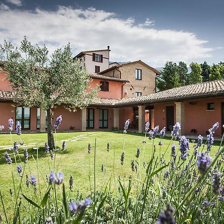 Appartamenti Poggio Fiorito Assisi Exterior photo